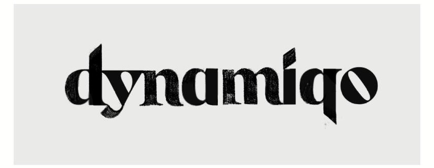 Early Dynamiqo logo direction 2
